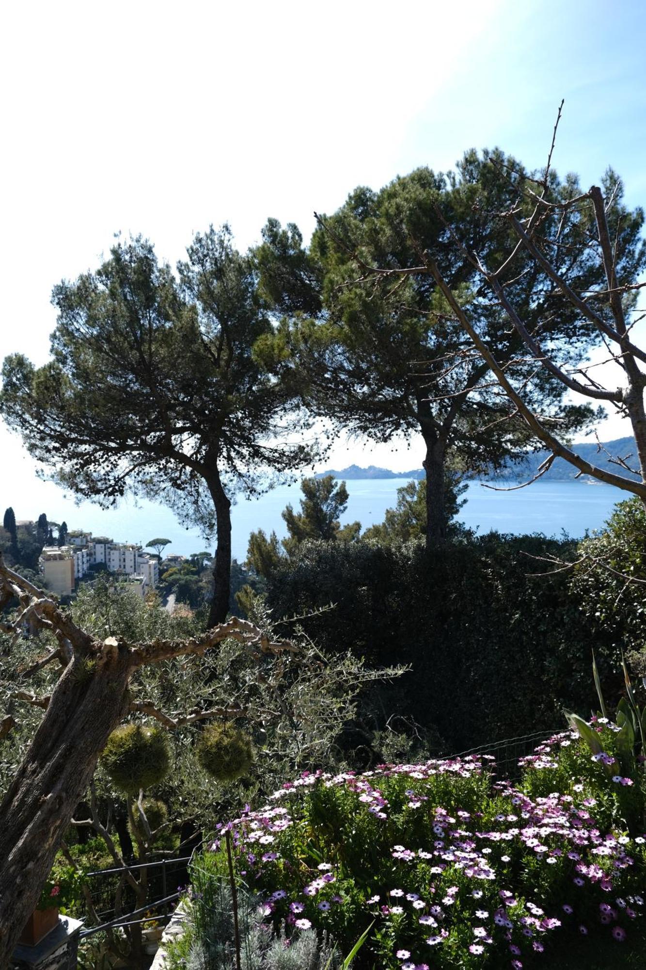 זואליי L'Alcova Tra Gli Ulivi By Portofinovacanze מראה חיצוני תמונה