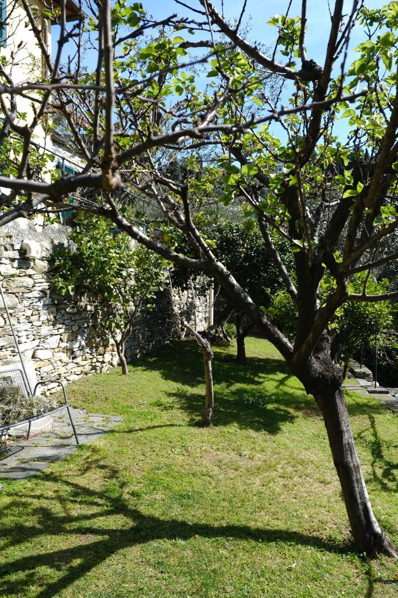 זואליי L'Alcova Tra Gli Ulivi By Portofinovacanze מראה חיצוני תמונה