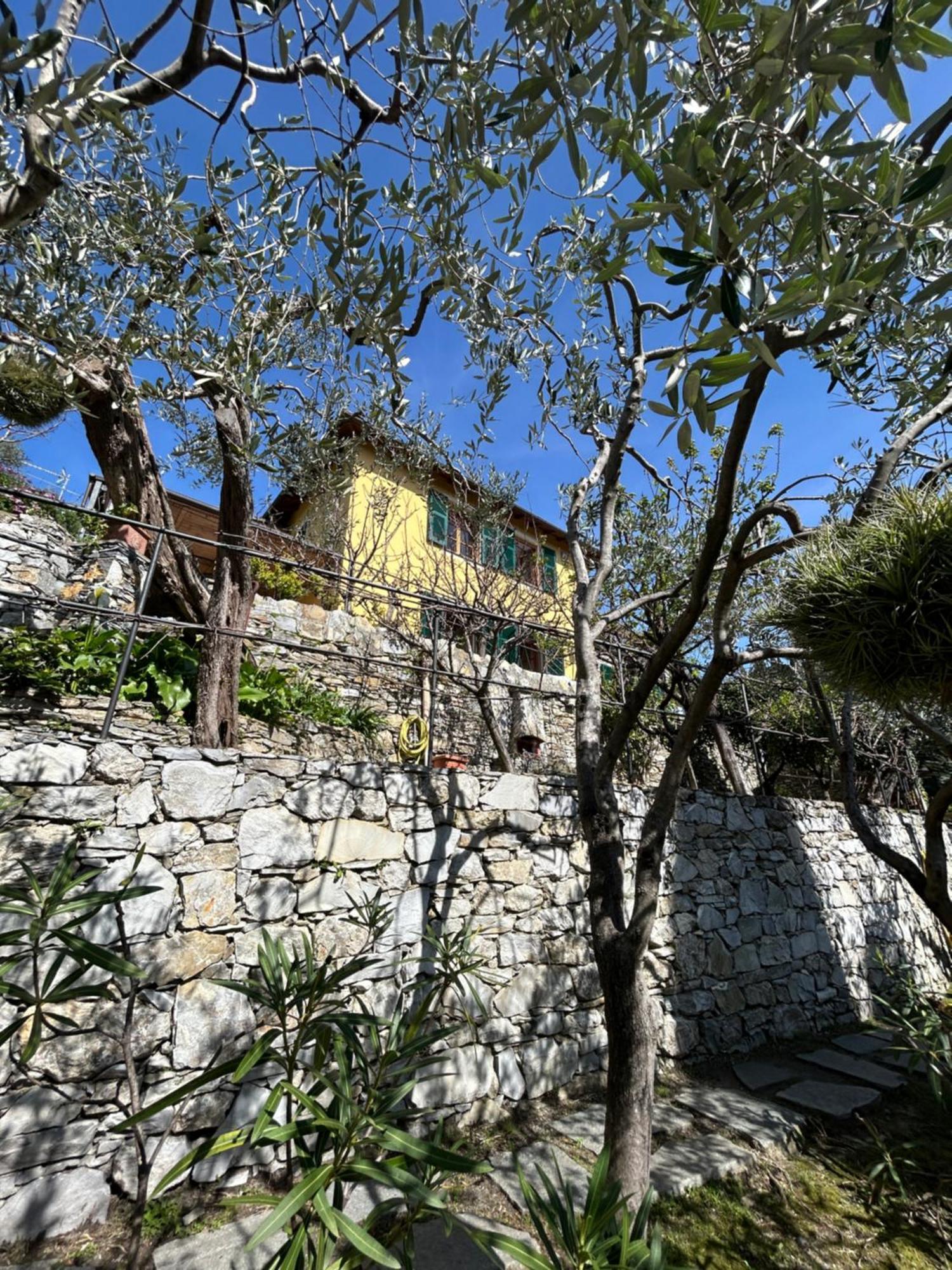 זואליי L'Alcova Tra Gli Ulivi By Portofinovacanze מראה חיצוני תמונה
