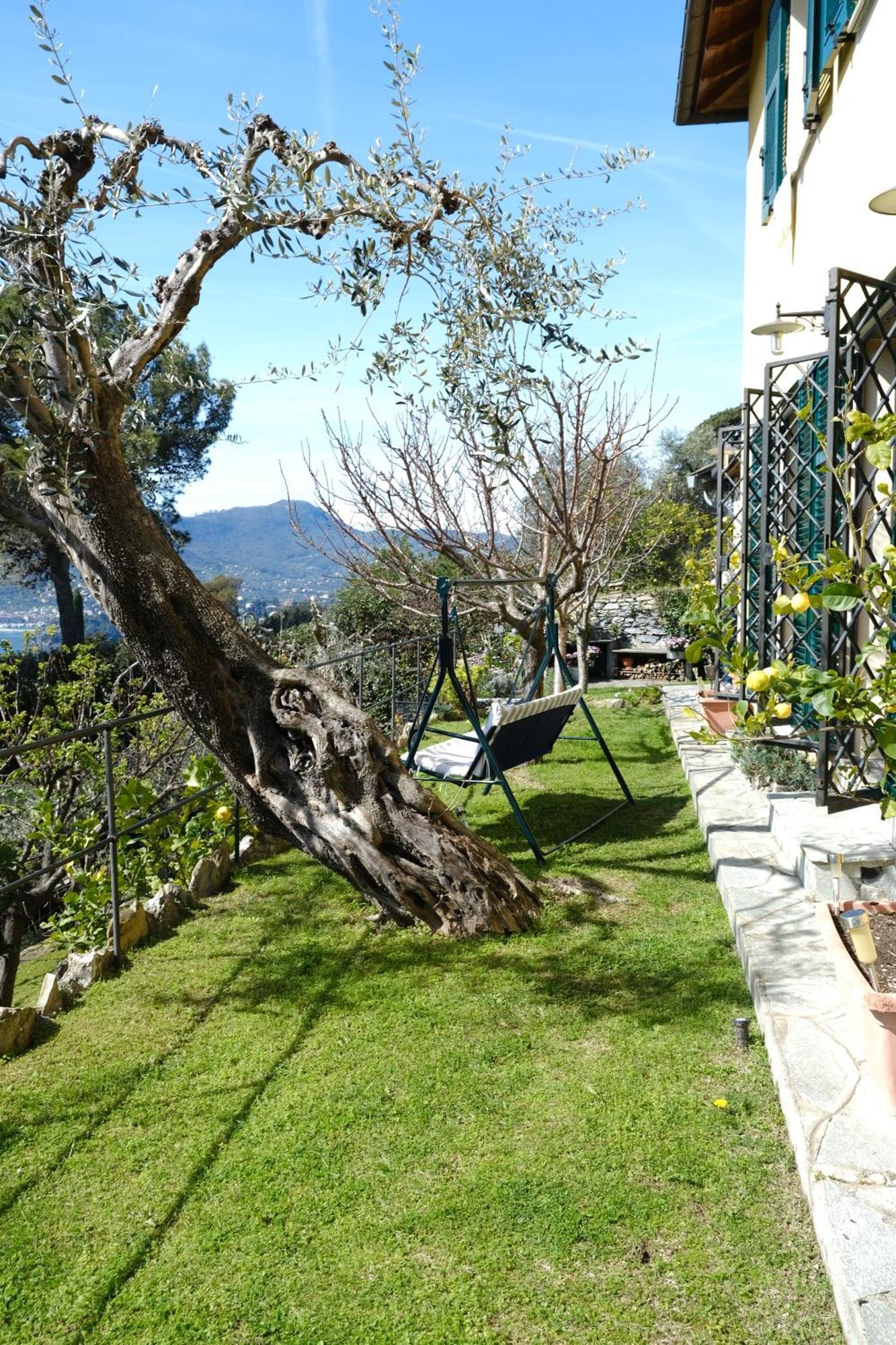 זואליי L'Alcova Tra Gli Ulivi By Portofinovacanze מראה חיצוני תמונה
