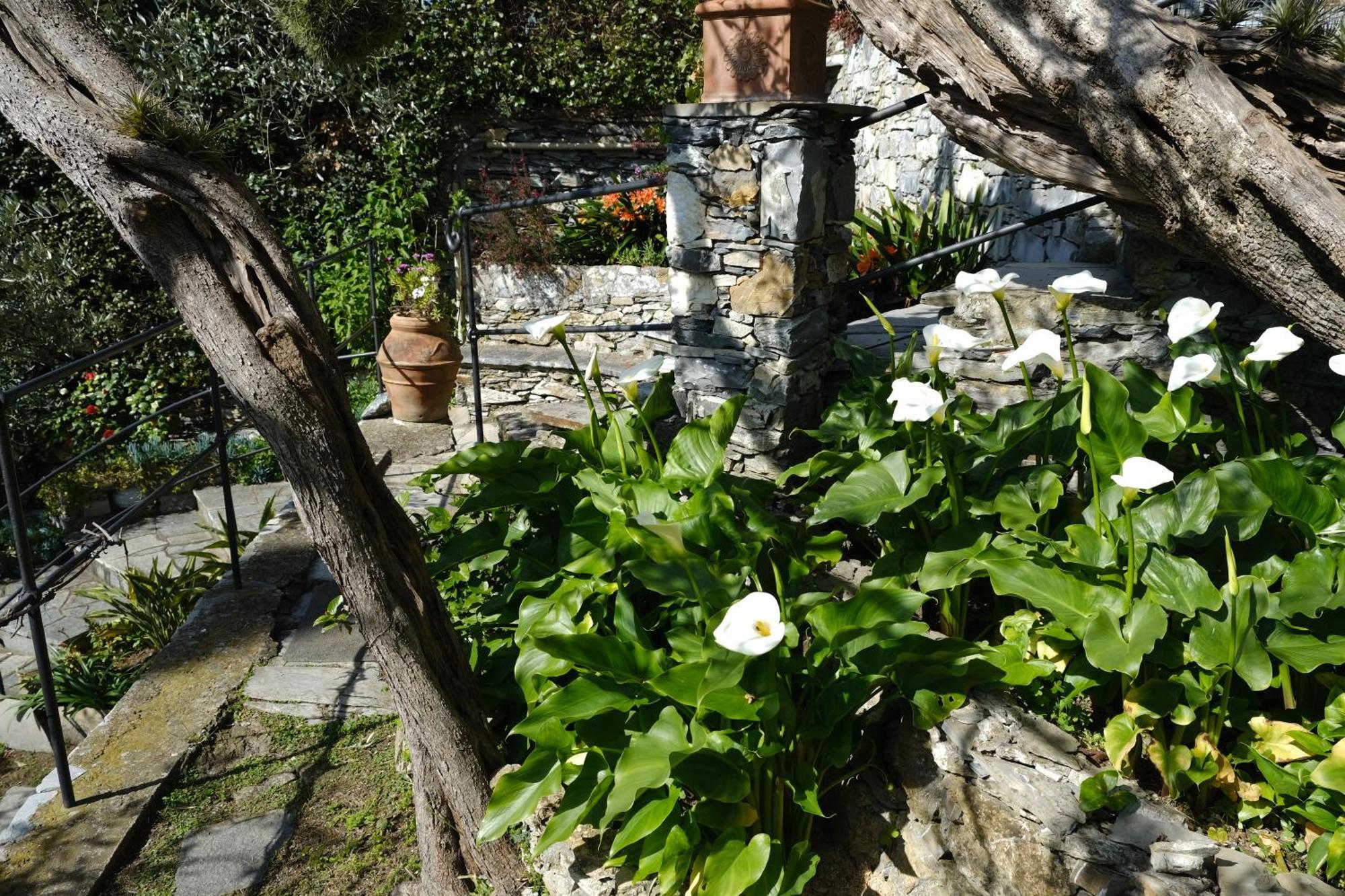 זואליי L'Alcova Tra Gli Ulivi By Portofinovacanze מראה חיצוני תמונה